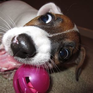 Meet your Posher, April